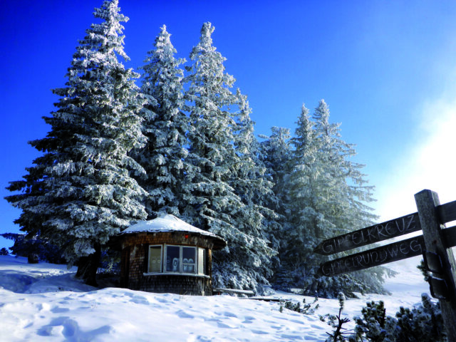 Panorama_Winter (3)