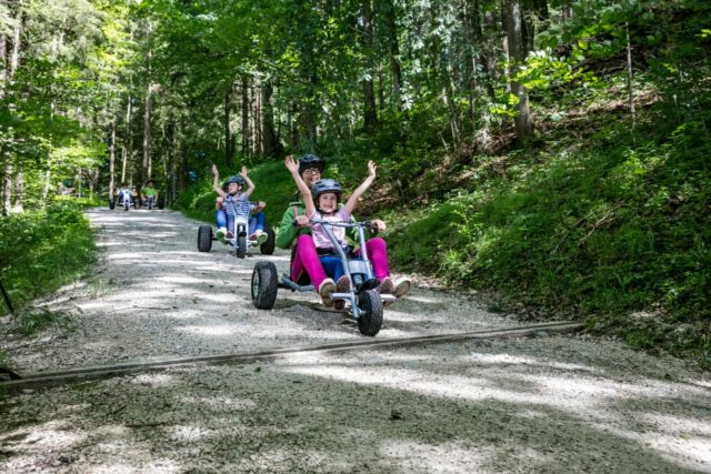 MountainCart_20160616-2117 klein