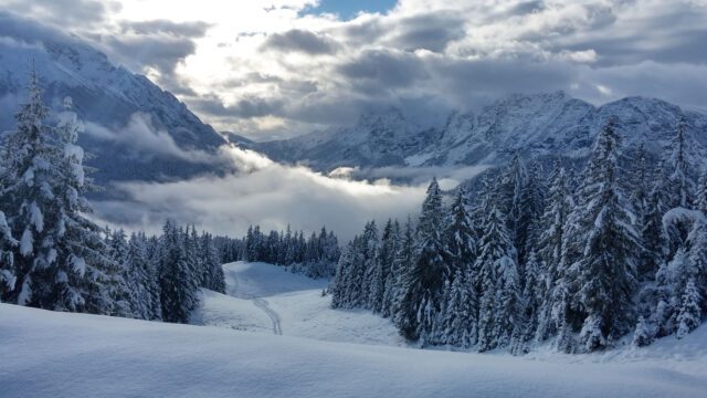 echt-posch-events-weihnachtspaket-7